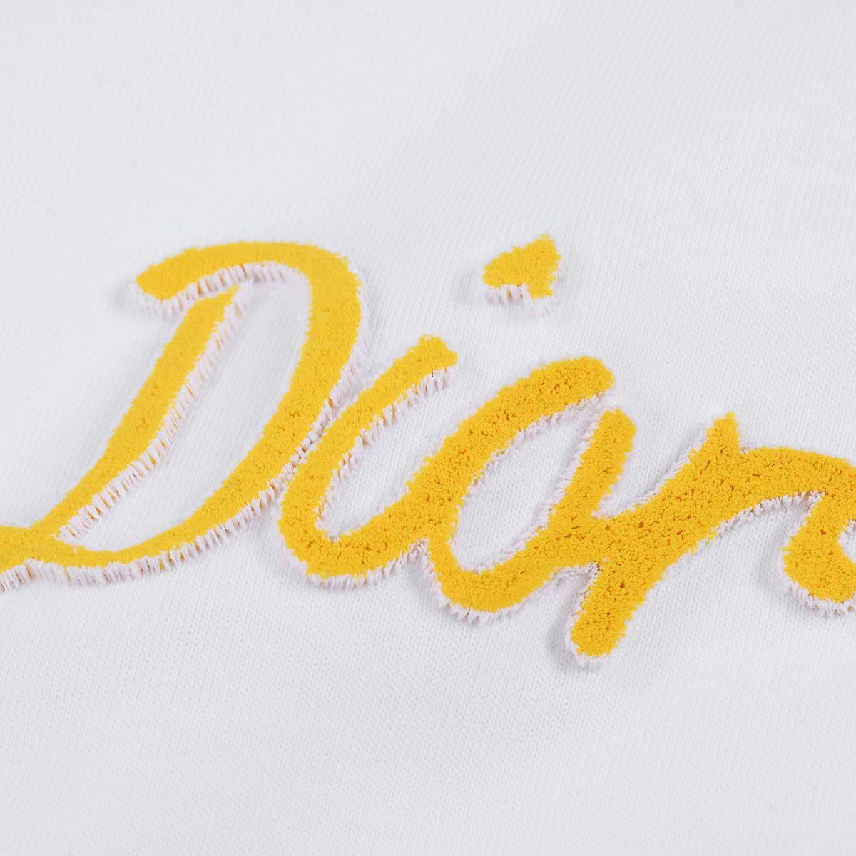 Christian Dior T-Shirts